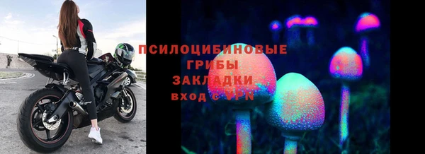 спиды Армянск