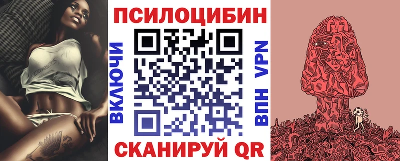 Галлюциногенные грибы Psilocybe даркнет Telegram Краснослободск